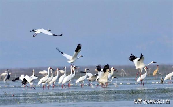 上饒，其實也沒什麼