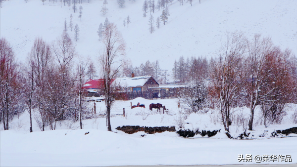 那年那月那婚姻 88 哪個老人不為子女操勞一輩子
