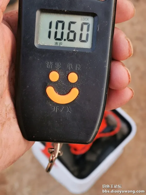 冬釣好收穫，全靠釣魚王