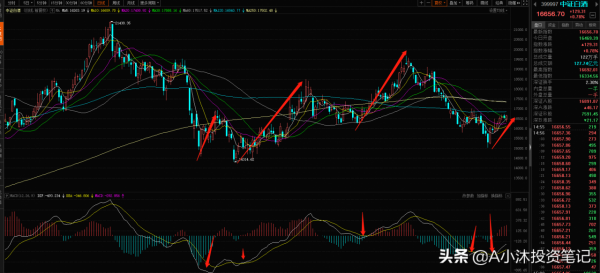 醫療本週大漲8&percnt;，白酒行情還未結束！重倉的朋友看過來