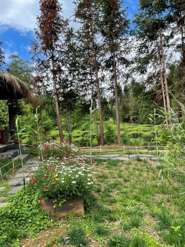 城市印象之騰衝