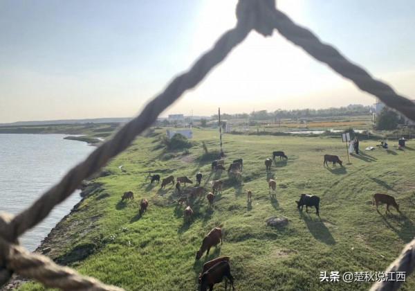 身處江南的江西，竟然還隱藏著這麼一大片沙漠