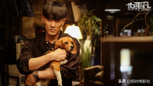 趙麗穎、鄭愷新劇僅隔一天開播！前者劇情燒腦，後者上星東方衛視