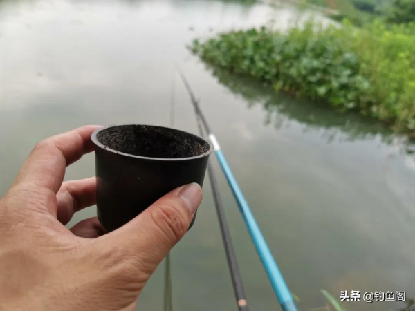 夜釣總是沒口?提醒你做好這4件事,擺脫空軍不再難 夜釣總是沒口?提醒你做好這4件事,擺脫空軍不再難