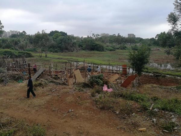 閒不住的候鳥（候鳥小菜園，提倡否？）