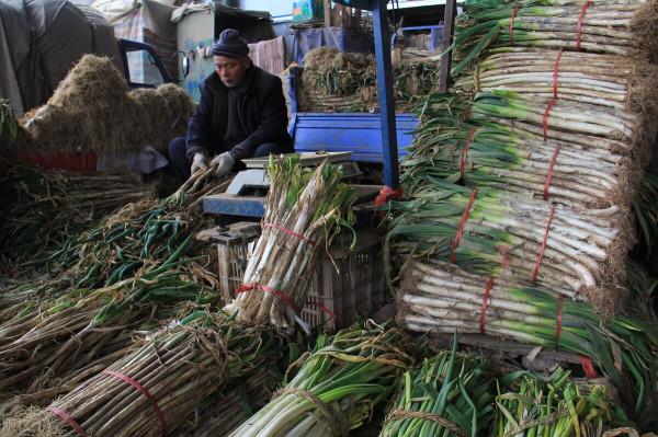 蔬菜“漲瘋”，菠菜12一斤，黃瓜大漲25%，大蔥也向錢衝，咋了？