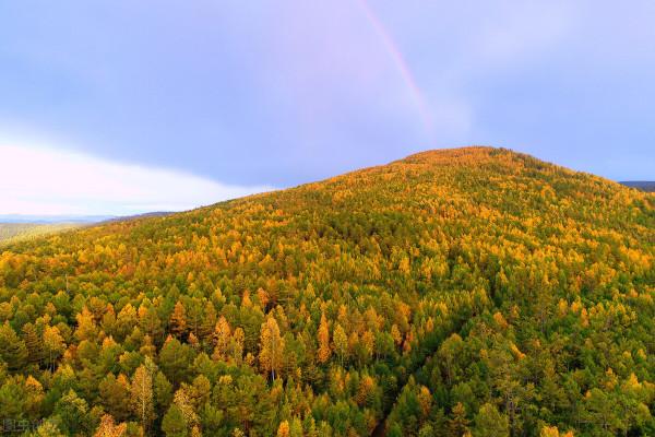 詩詞鄜州│嶺上