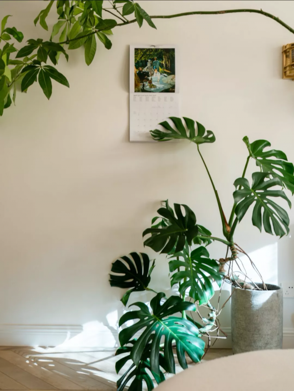 90後北京女孩的家太“哇塞”了！58W裝60m²，卻把一半面積給臥室