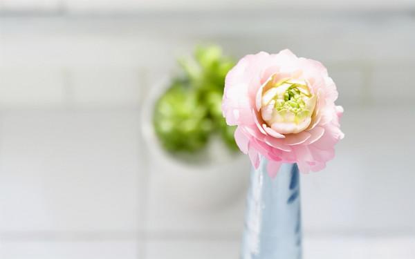 當中年人負債累累，想要翻身時，不妨試試養成這四個好習慣