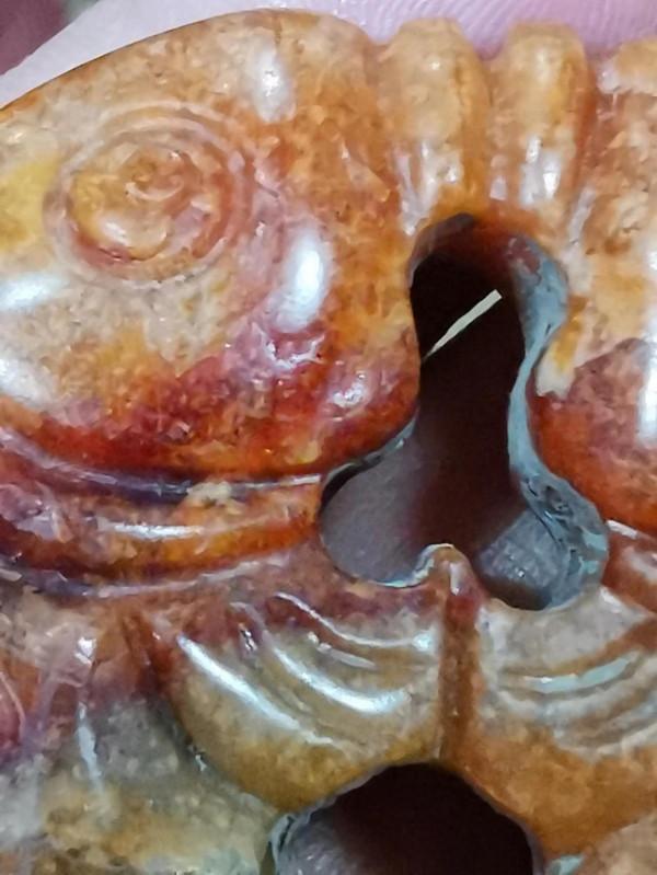 非常漂亮高古紅沁知了皮殼所表現的無法可仿本質特徵，跟仿品比較