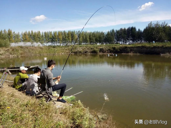 冬釣六字要訣，經常空軍不要怪天氣，可能是這些要點沒掌握