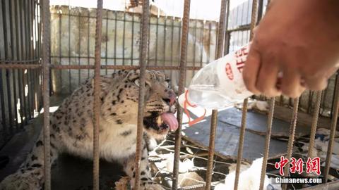 這輩子一定要去趟這個公園 在這裡“有種愛叫放手” 這輩子一定要去趟這個公園 在這裡“有種愛叫放手”