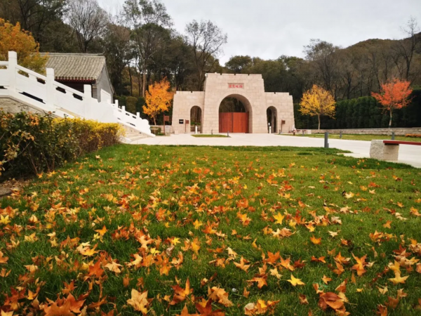 開啟“雲”賞秋｜九眼樓長城