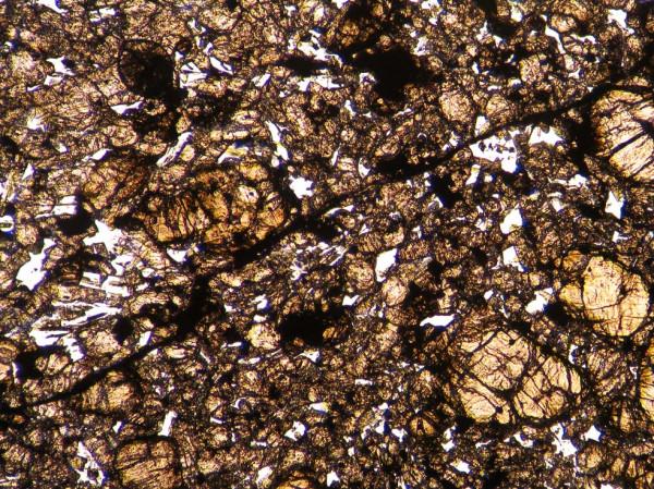 提森特（Tissint）火星隕石薄片