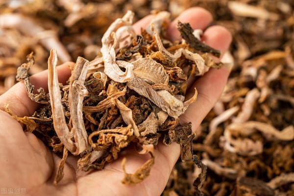 秋季,趁著陽光充足,這8種蔬菜可以多曬一些,冬天燉肉特別香 秋季,趁著陽光充足,這8種蔬菜可以多曬一些,冬天燉肉特別香