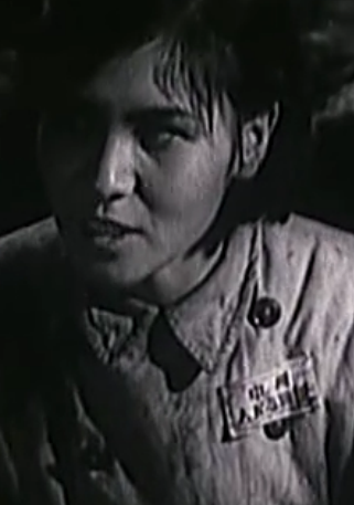 “百年百部優質電影”：《上甘嶺》《長津湖》均獲得金揚花大獎