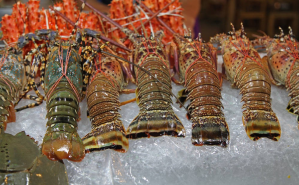 含“寄生蟲”最多的3種海鮮,沒營養還貴,老闆自己從不吃 含“寄生蟲”最多的3種海鮮,沒營養還貴,老闆自己從不吃