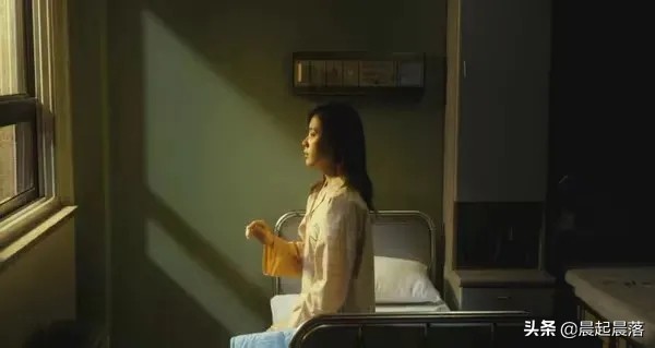 他們復婚，衝上熱搜