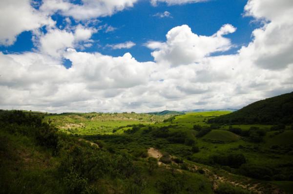 想去壩上草原，哪哪分不清？一篇文章幫你搞明白