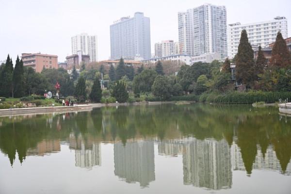 冬天的龍潭公園景色迷人