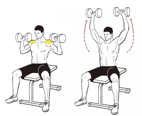 肩部訓練&amp;肩部訓練的王牌動作