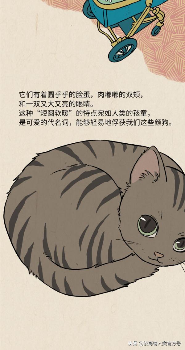 貓對人沒什麼感情，跟著你就是為了混飯吃