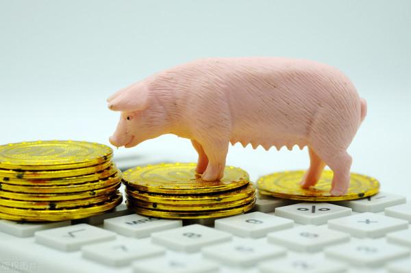 “賣一頭豬虧七八百元”？在當前的形勢下，養豬行業該何去何從？