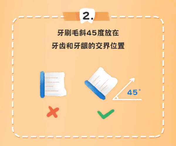 《最全兒童牙齒髮育時間表》來了!家長一定要了解 《最全兒童牙齒髮育時間表》來了!家長一定要了解