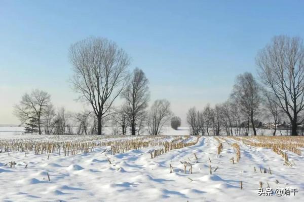 天氣預報：大年初七宜晴不宜雨，下雨有啥預兆？看看農村諺語咋說