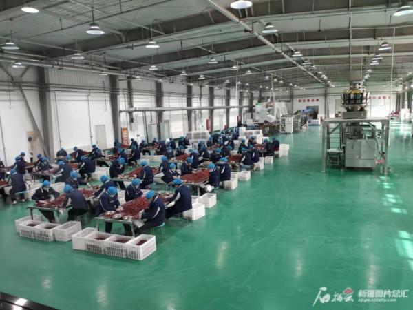 今年農發行向新疆果業集團發放收購貸款超8.3億元