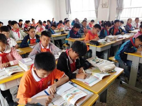 觀察：縣城再無清華北大的後果