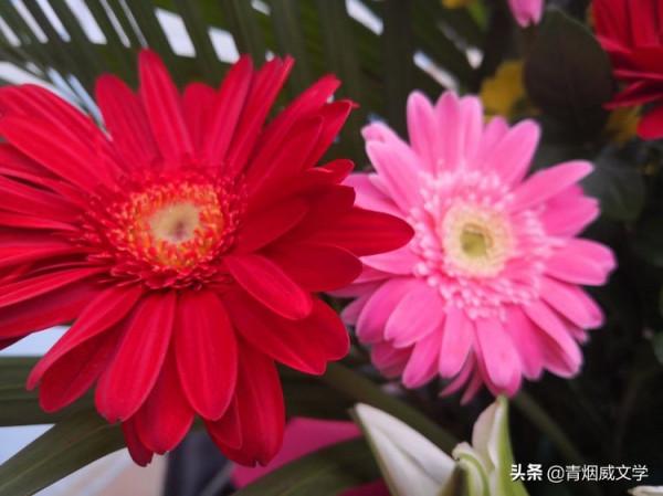 漢宮春 醉紅塵 （外二首）