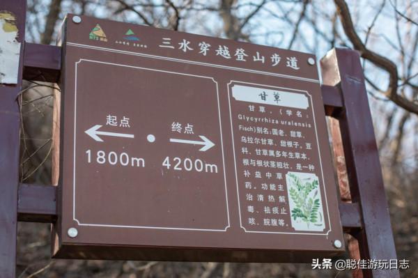 北京徒步登山：房山藥王谷環穿，三水步道泗馬溝段，灌木叢段太野