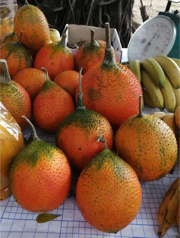 這些“陌生的水果”,雖然一個都不認識,但它們看起來很好吃 這些“陌生的水果”,雖然一個都不認識,但它們看起來很好吃