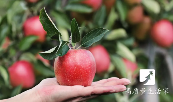 大蒜、西蘭花、蘋果，這些“抗癌食物”真的有效嗎？科學證據來說話！癌症不上門，得這樣養~