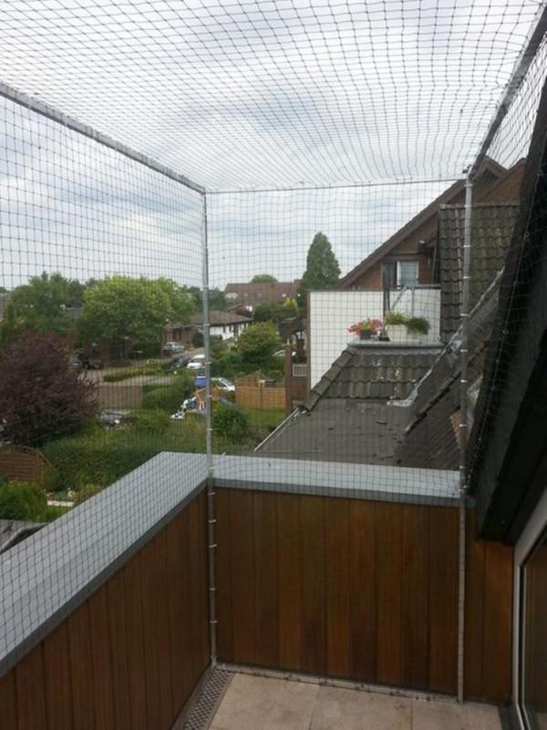 露臺不封陽光房,朋友家罩一層鋼絲網,安全防盜物業也不說是違建 露臺不封陽光房,朋友家罩一層鋼絲網,安全防盜物業也不說是違建