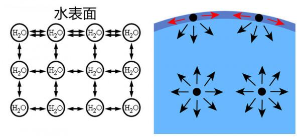 8個專案4個有水!水在太空多神奇,王亞平空間站授課離不開它? 8個專案4個有水!水在太空多神奇,王亞平空間站授課離不開它?