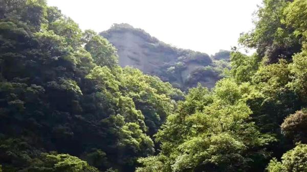 在青川，有一種美景叫“尖叫谷”