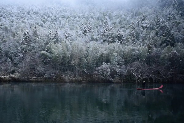 九九消寒，最適合做這些風雅小事