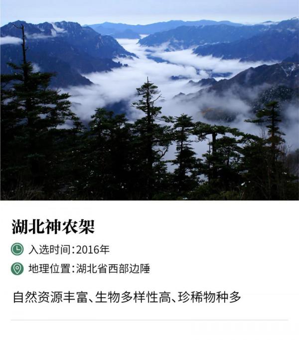 中國世界自然遺產數量全球第一，一起來看看都有哪些？