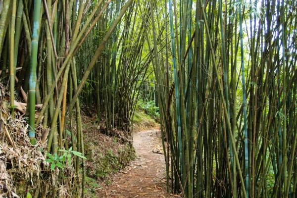 古水河徒步攻略｜當天來回-久在樊籠裡，復得返自然