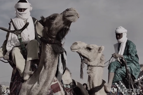 高盧烏雞？法國正在“變黑”，所有的債都是要還的