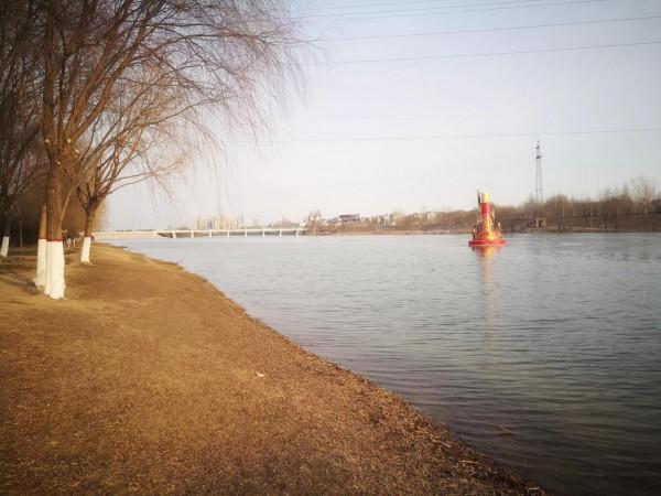 春遊七里河畔，令人留戀忘返