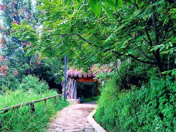 大理鳳陽邑:茶馬古道上的世外桃源 大理鳳陽邑:茶馬古道上的世外桃源