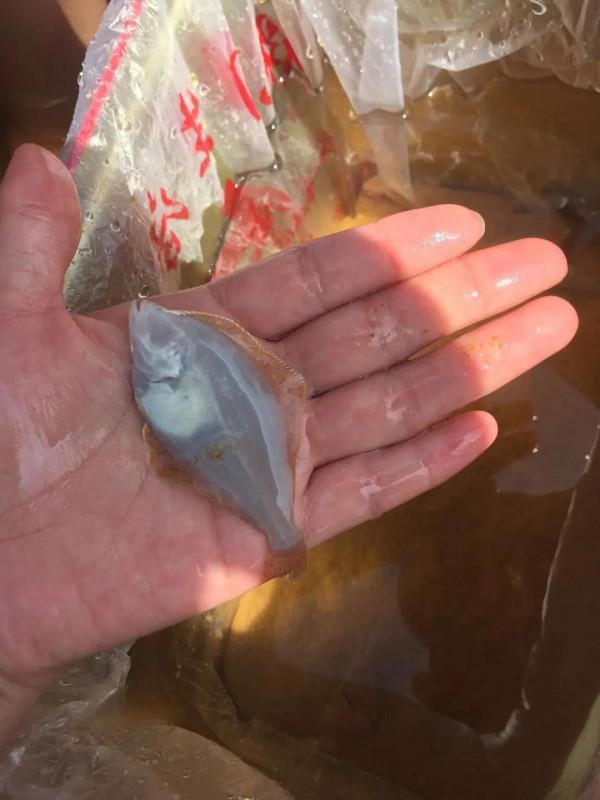 威海旅行真正的攻略