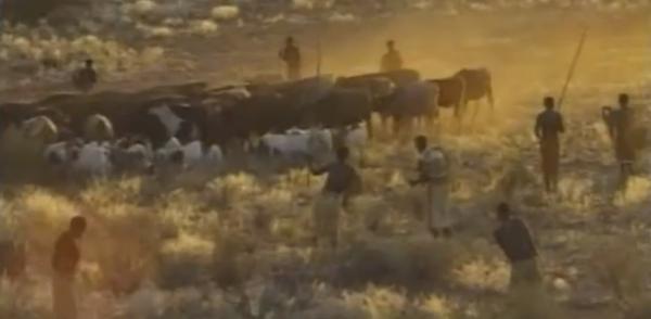 《我是誰》丟失的片段,成龍大戰犀牛,攝影師失誤造成永遠的遺憾 《我是誰》丟失的片段,成龍大戰犀牛,攝影師失誤造成永遠的遺憾