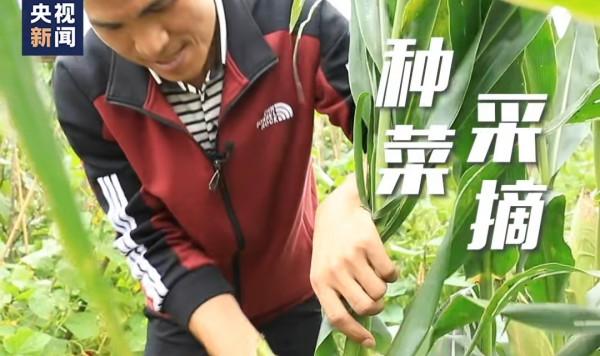 四川學生帶牛奶入校被攔住,家長看不下去了:好校長這樣樹立榜樣 四川學生帶牛奶入校被攔住,家長看不下去了:好校長這樣樹立榜樣