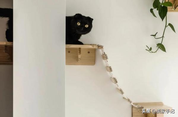 她家不豪華,可還是進門就把我迷住,白牆、原木、少造型,太美了 她家不豪華,可還是進門就把我迷住,白牆、原木、少造型,太美了