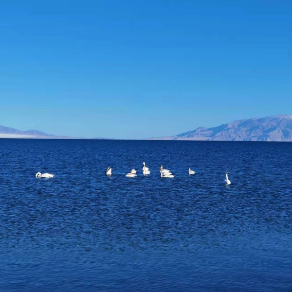 新年最浪漫旅遊地出爐！西北最美的5個湖泊，看到就想出發