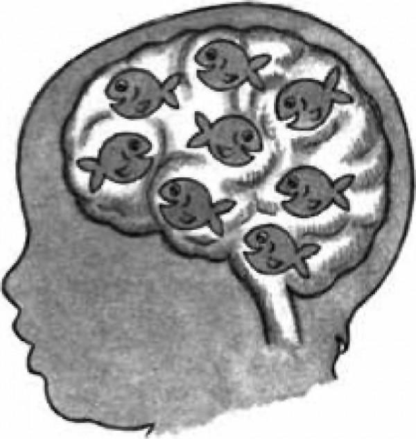 孕期吃點啥?來看看這12種超級食物 孕期吃點啥?來看看這12種超級食物